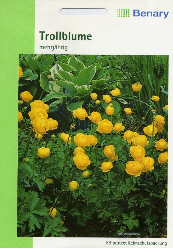 Alpenbl. Trollius europaeus Trollblume:Alpenbl. Trollius europaeus.jpg