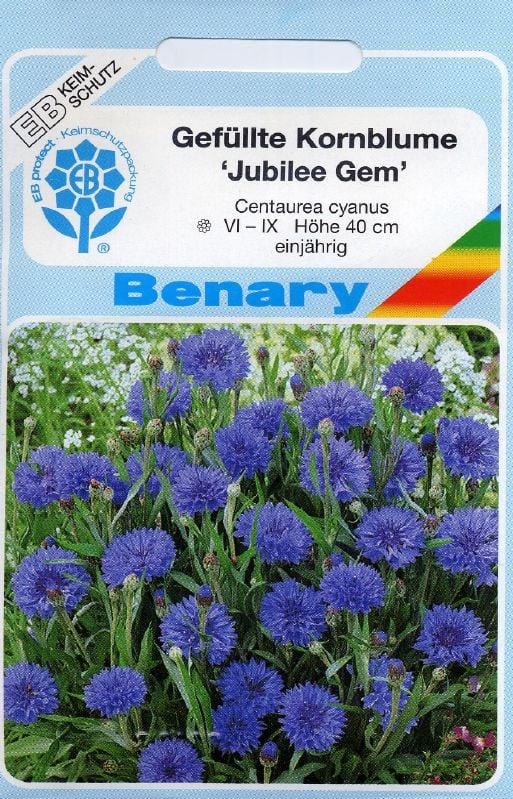 Centaurea cyanus Jubilee Gem, Kornblume Flockenblume, Kornblume Jubilee Gem:Centaurea cyanus Jubilee Gem, Kornblume.jpg