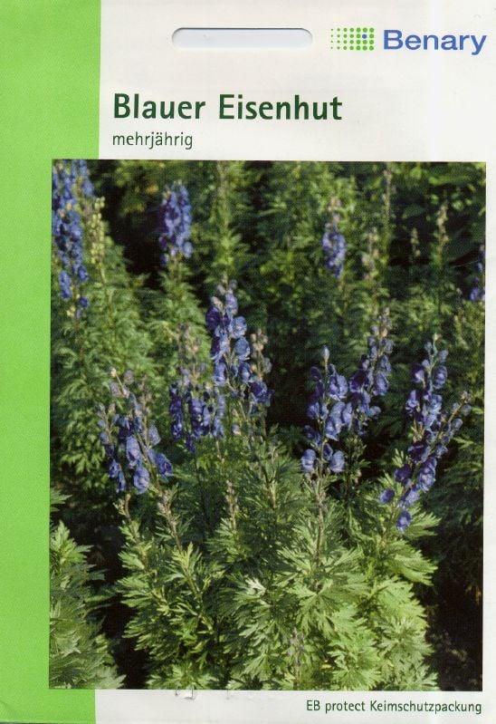 Aconitum napellus, Eisenhut Eisenhut:Aconitum napellus, Eisenhut.jpg