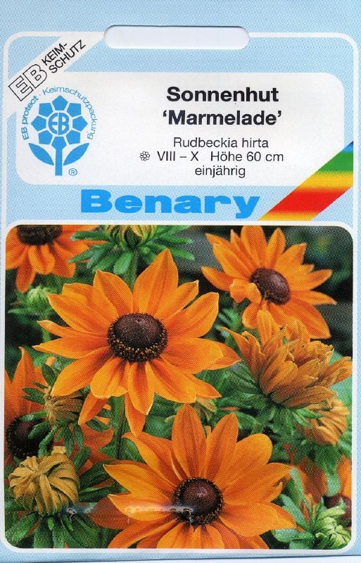 Rudbeckia hirta Marmelade Rauhe Sonnenhut Marmelade:Rudbeckia hirta Marmelade.jpg