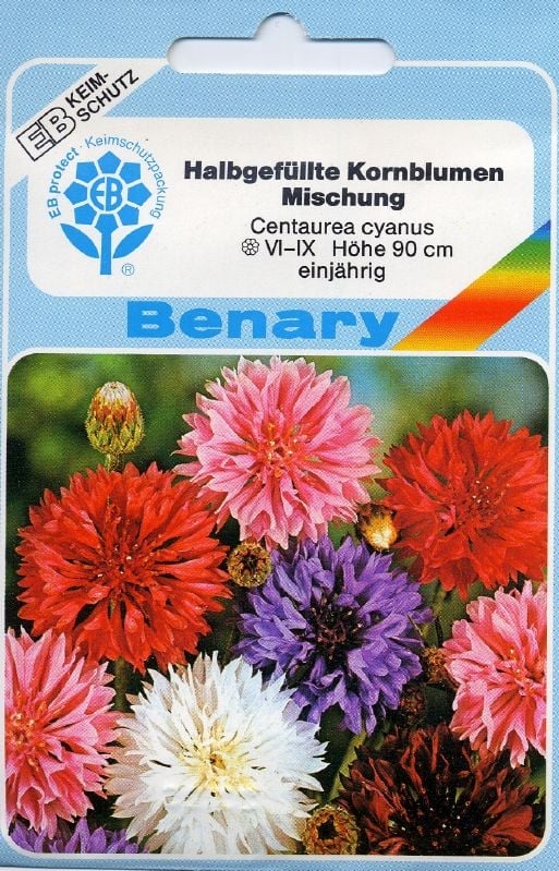 Centaurea cyanus halbgefüllte Mischung Flockenblume, Kornblume halbgefüllte Mischung:Centaurea cyanus halbgefüllte Mischung.jpg