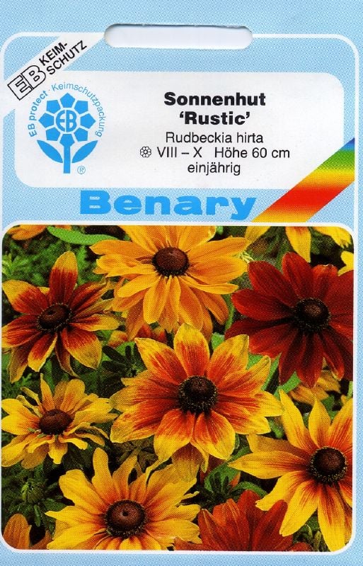 Rudbeckia hirta Mischung Rauhe Sonnenhut Mischung:Rudbeckia hirta Mischung.jpg
