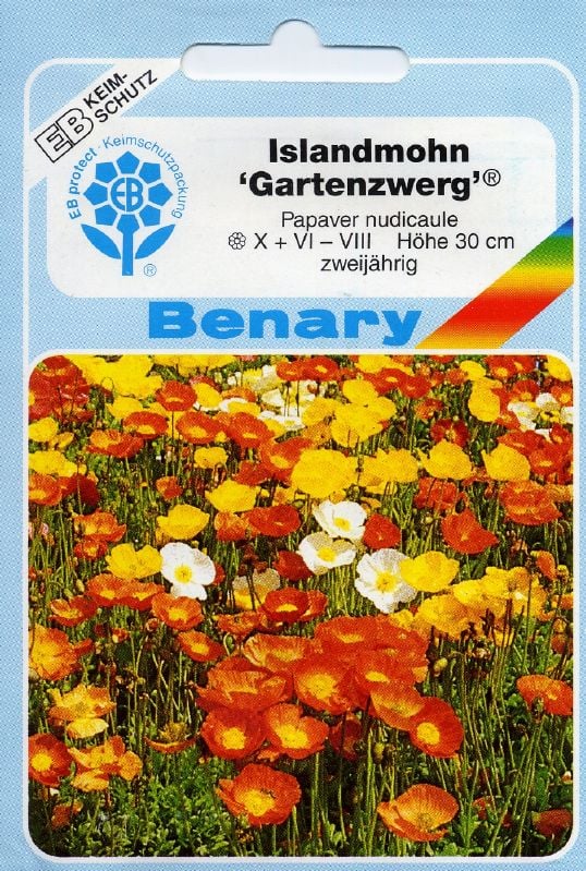 Papaver nudicaule Gartenzwerg Islandmohn Gartenzwerg:Papaver nudicaule Gartenzwerg.jpg
