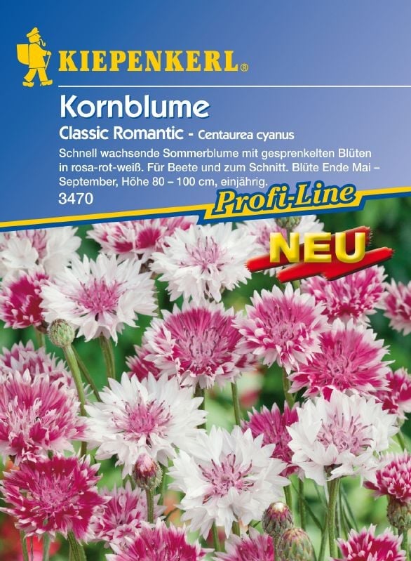 Centaurea cyanus Classic Romantic Flockenblume, Kornblume Classic Romantic:Centaurea cyanus Classic Romantic.jpg