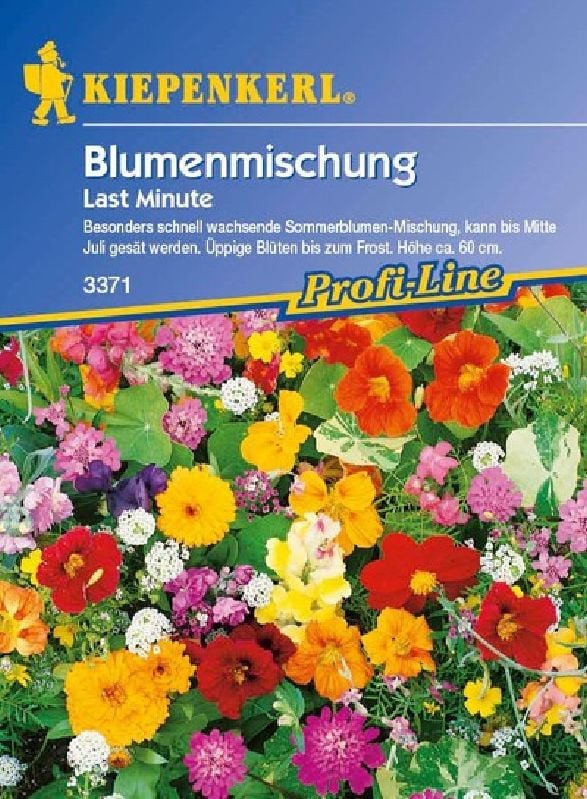 Der wild blühende Naturgarten in Wien Penzing | GLOBAL 2000 Der wild blühende Naturgarten in Wien Penzing | GLOBAL 2000