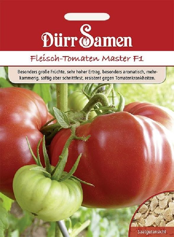 Tomate Master F1 Fleischtomate Master:Tomate Master F1.jpg
