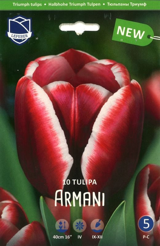 Tulpe Armani 12/+ Tulpe Armani 12/+:Tulpe Armani 12/+.jpg
