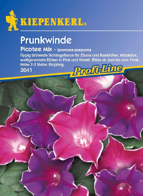 Ipomoea purpurea Picotee Mix