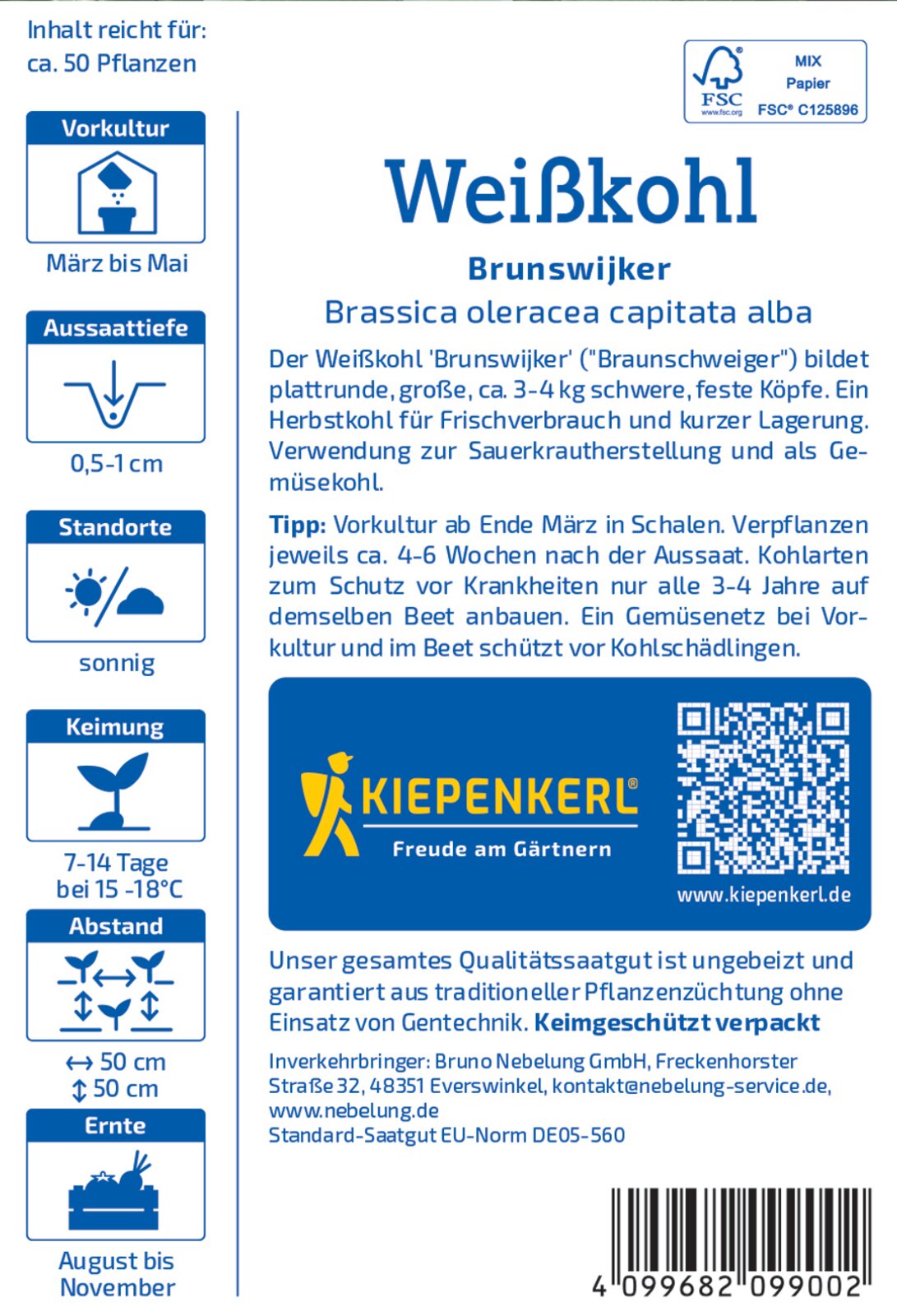 Weisskohl Brunswijker (Braunschweiger) - Produktbild 2