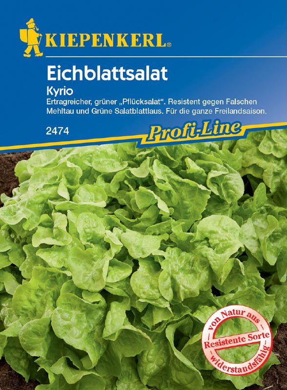 Salat Eichblatt Kyrio