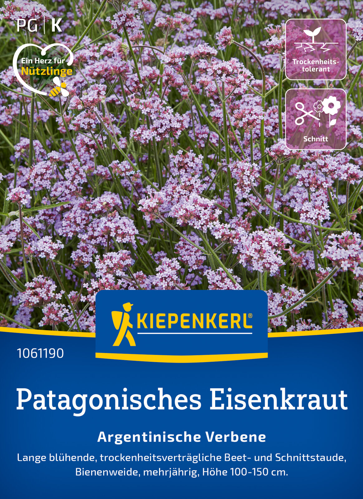 Argentinisches Eisenkraut