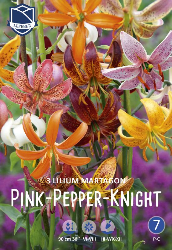 Lilie mart hyb Pink-Peppar-Knight 16+
