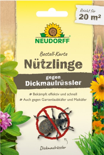 Bestell Karte gegen Dickmaulrüssler 10 Qm - Produktbild 1