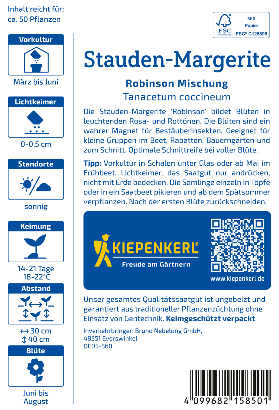 Chrysanthemum cocc.bunte Margerite - Produktbild 2