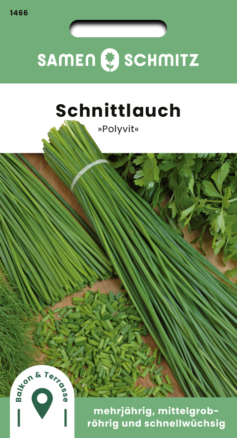 Schnittlauch grobröhrig