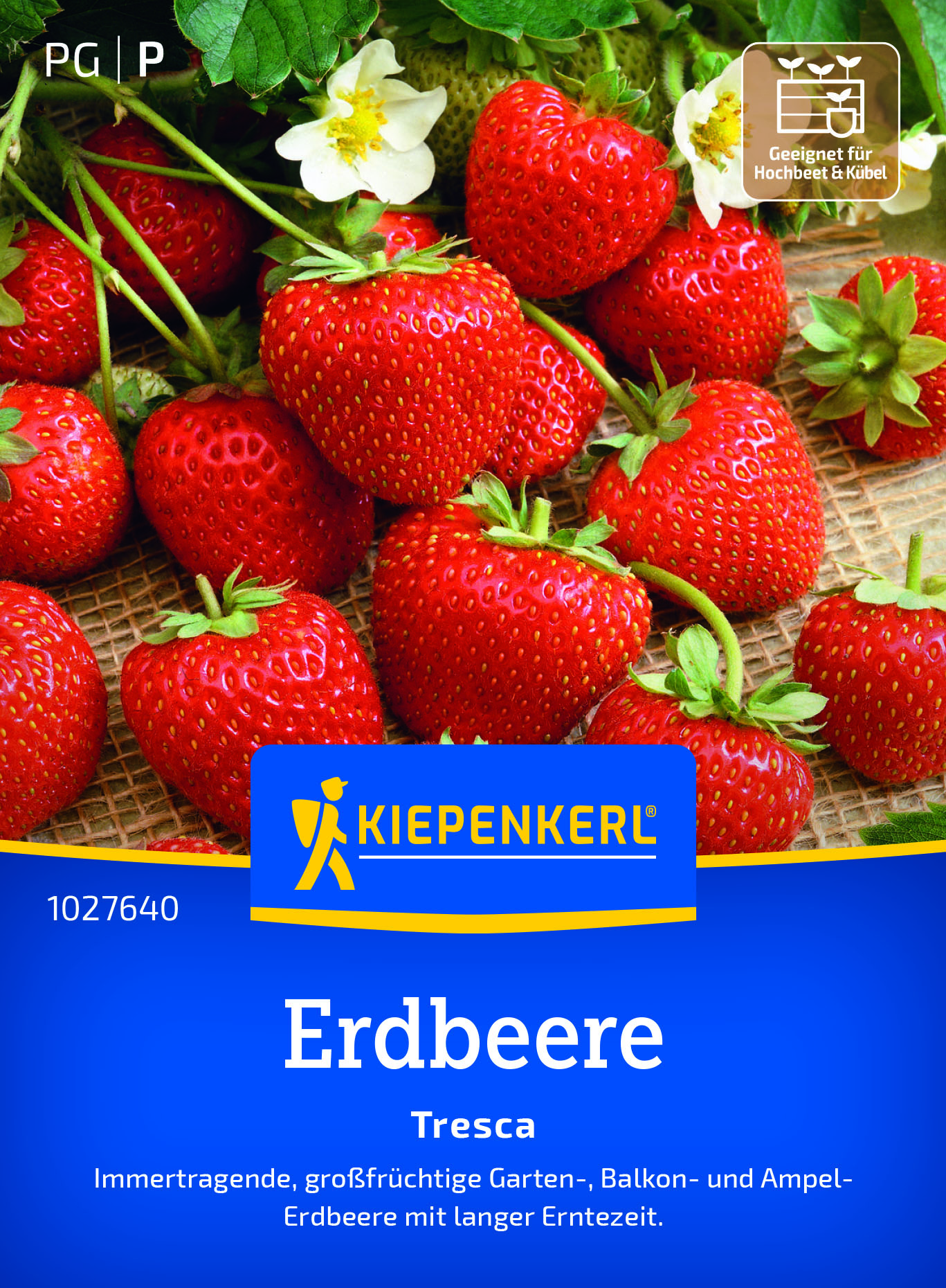 Erdbeere Tresca