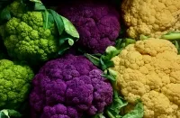 Grüner, violetter und gelber Blumenkohl nebeneinander in Nahaufnahme