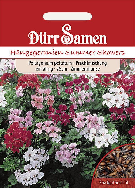 Pelargonium Hängegeranie Summer Showers