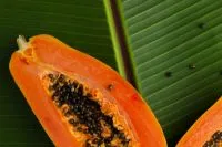Aufgeschnittene Papaya mit schwarzen Samen auf grünem Blatt