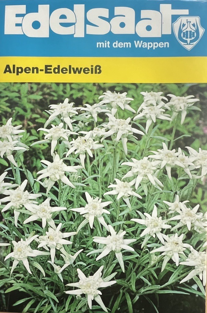 Leontopodium alpinum, Edelweiß