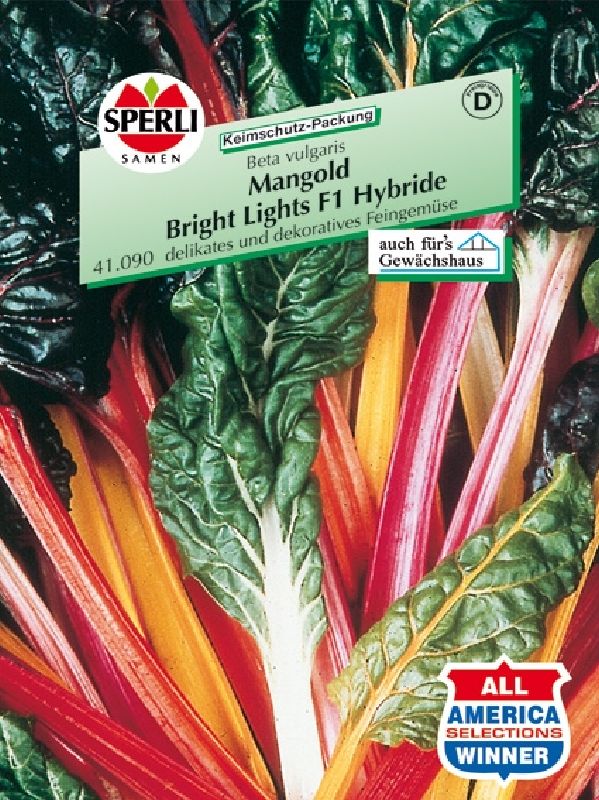 Mangold Bright Light F1