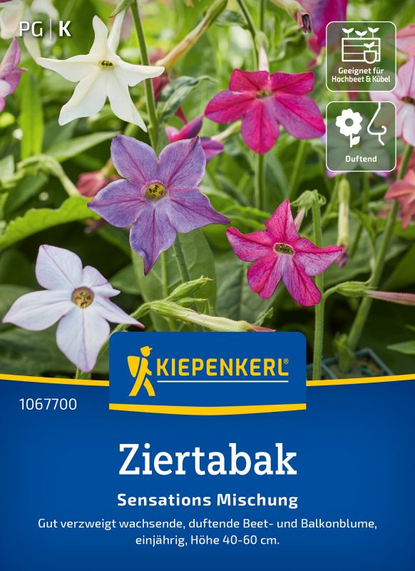 Nicotiana Sensations Mischung