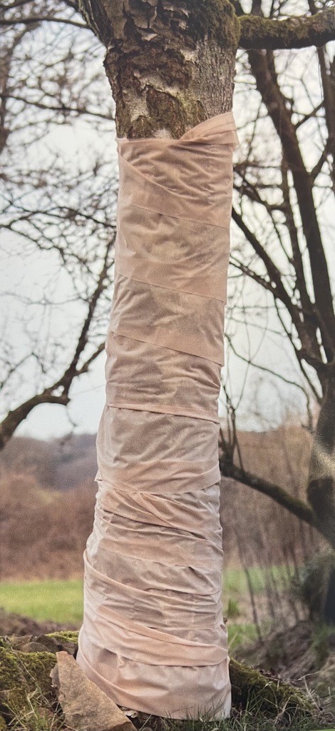 Winter Vlies 1,5x5 m - Produktbild 3