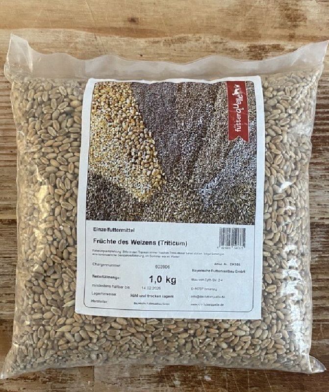 Weizen - Produktbild 1