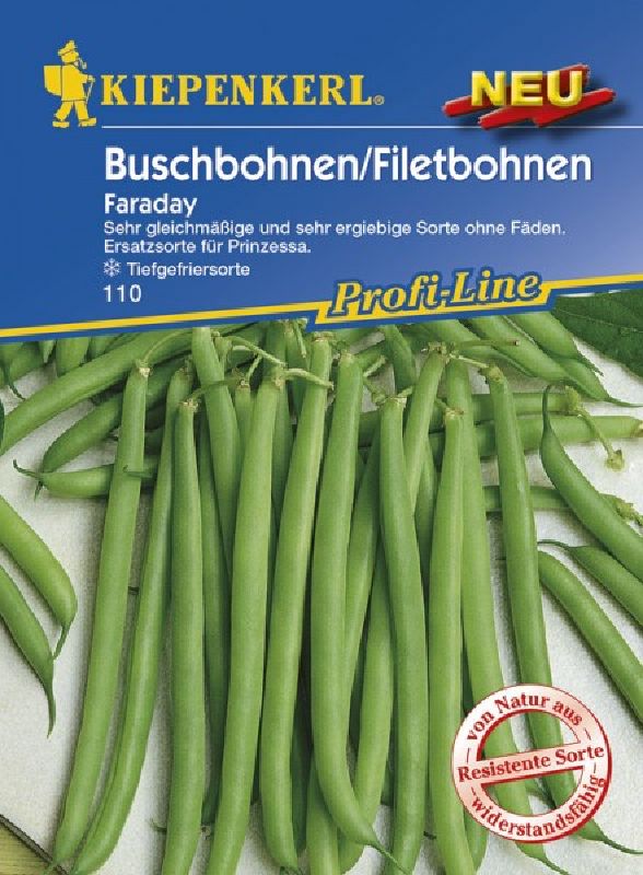 Bohne Busch Faraday