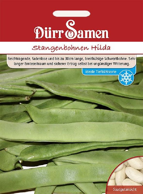 Bohne Stangenbohne Hilda