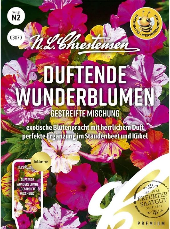 Mirabilis jalapa Gestreifte Mischung - Produktbild 1