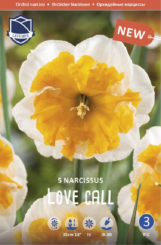 Narzisse Love Call 12/14