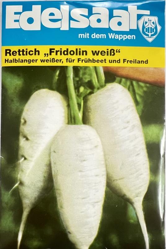 Rettich Fridolin weiß