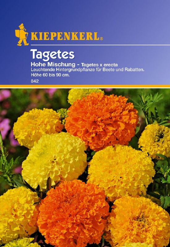 Tagetes erecta, Riesen Perfekta, Mischg.