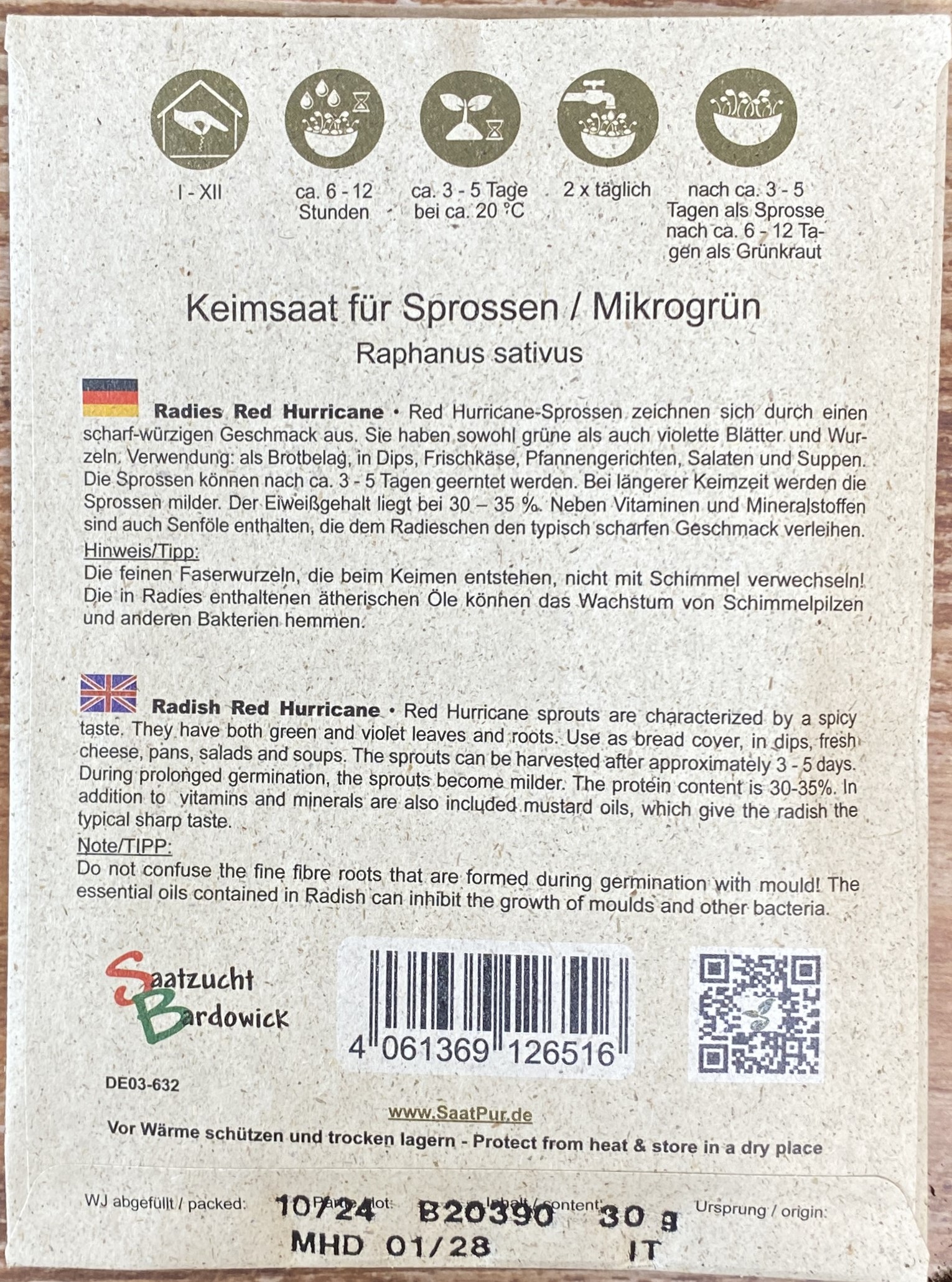Keimsprossen Radish Red Hurricane - Produktbild 2