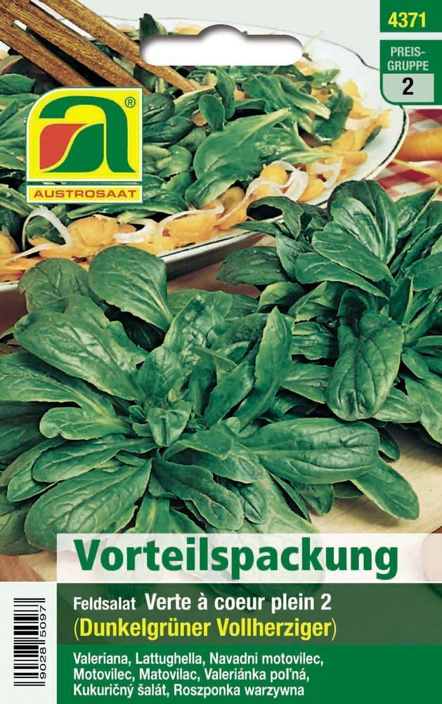 Feldsalat, Verte à Coeur plein 2