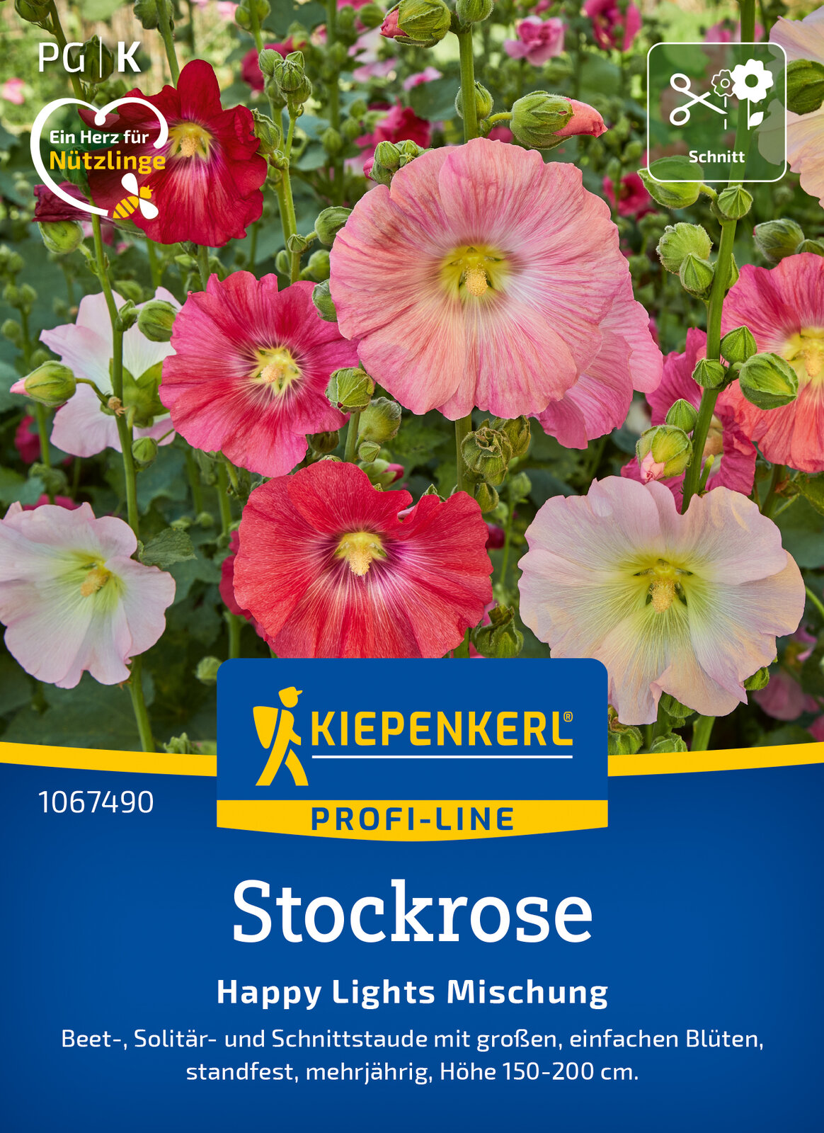 Alcea ficifolia Happy Lights