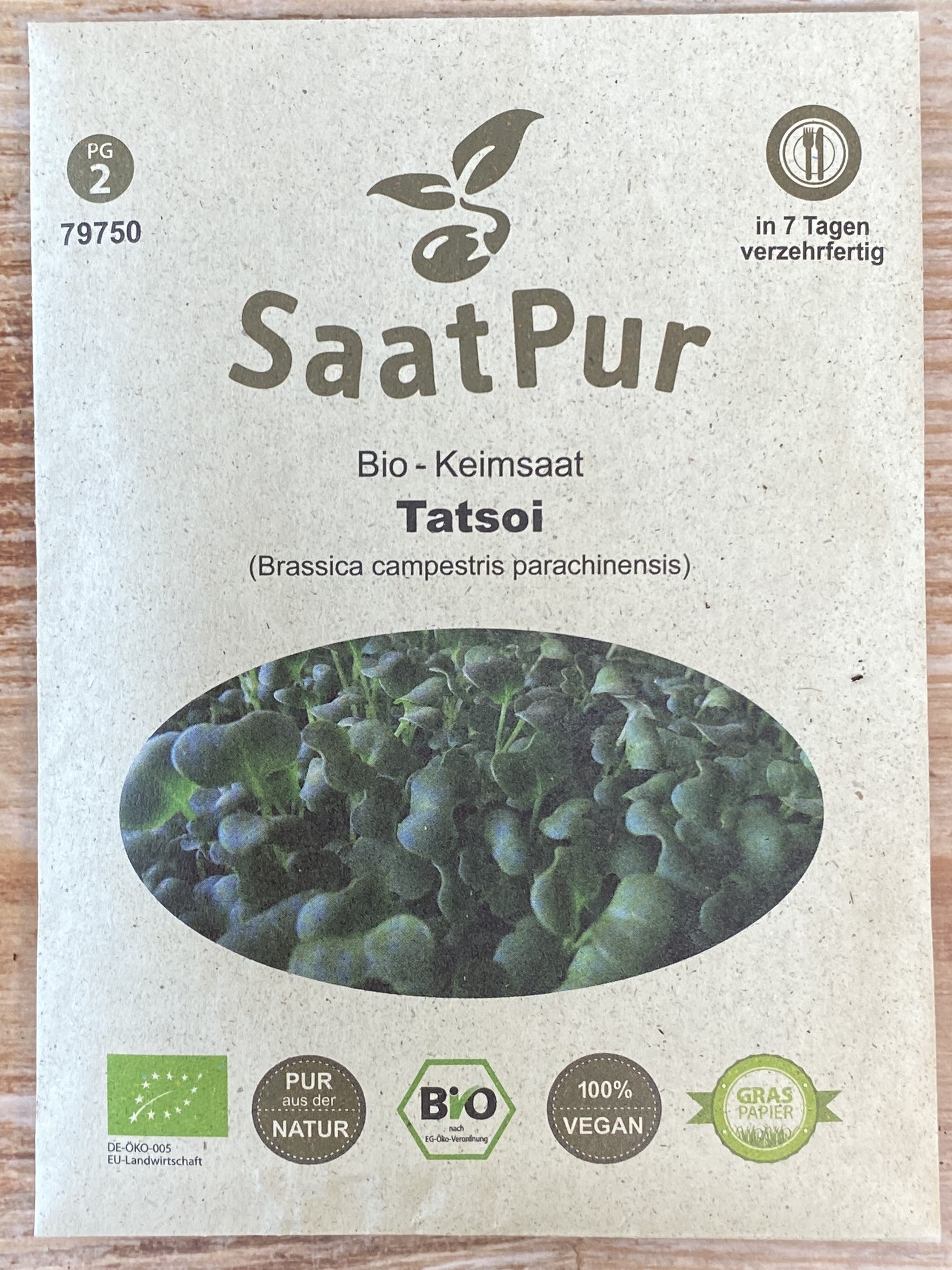 Keimsprossen Tatsoi