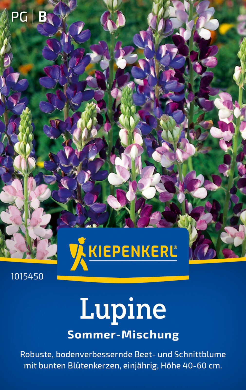 Wolfsbohne, Lupine, Sommerlupine
