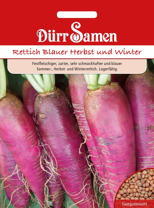 Rettich Blauer Herbst und Winter