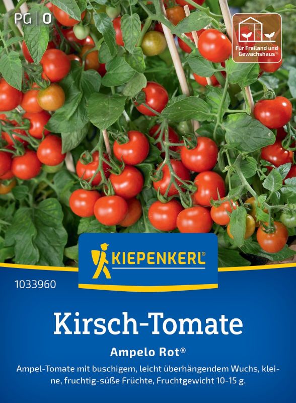 Tomate Ampelo Rot F1
