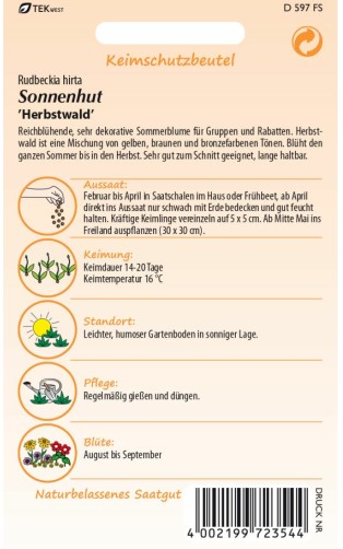 Rudbeckia Herbstwald - Produktbild 2