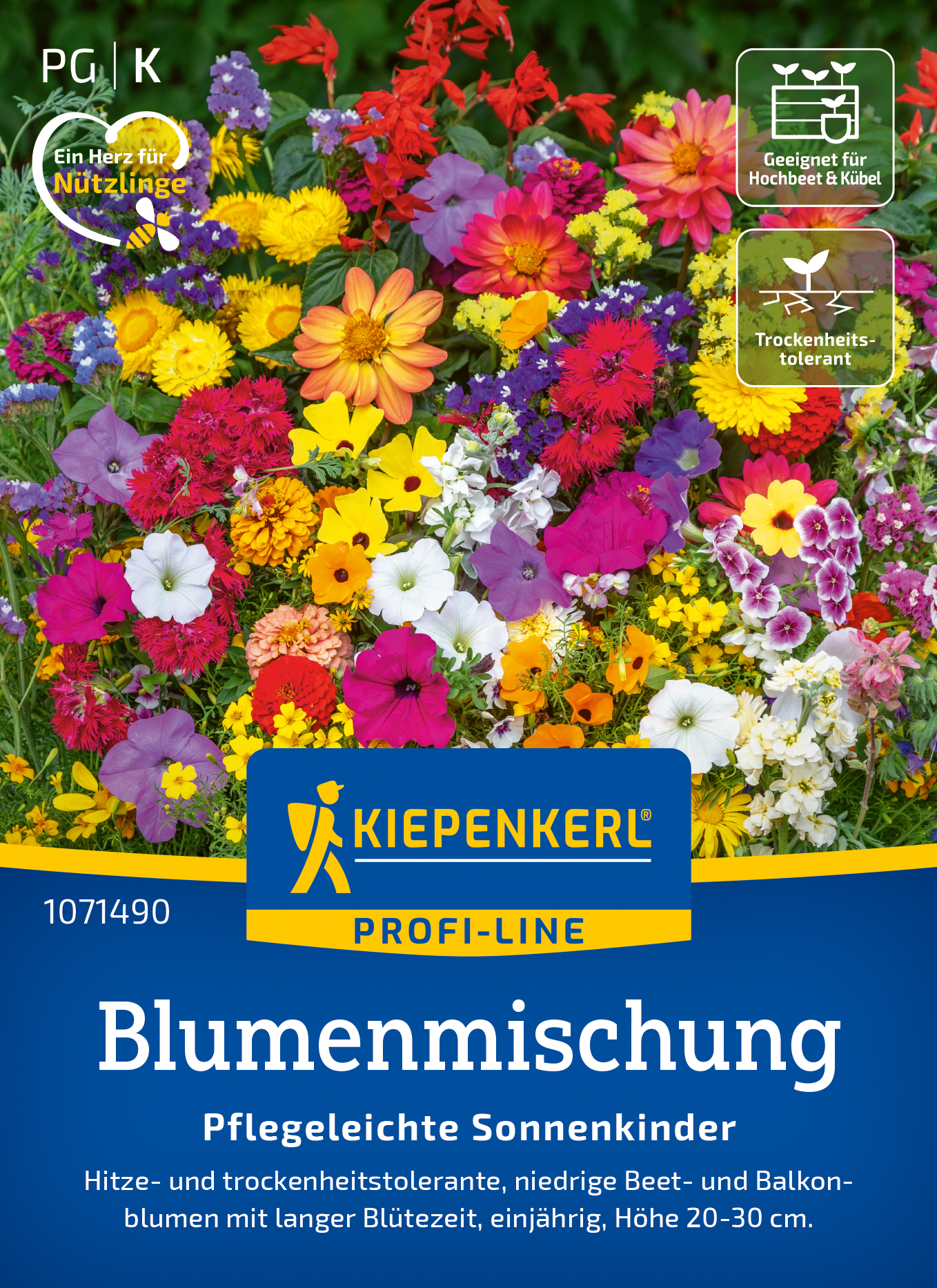 Blumenkasten Mischung Pfle. Sonnenkinder