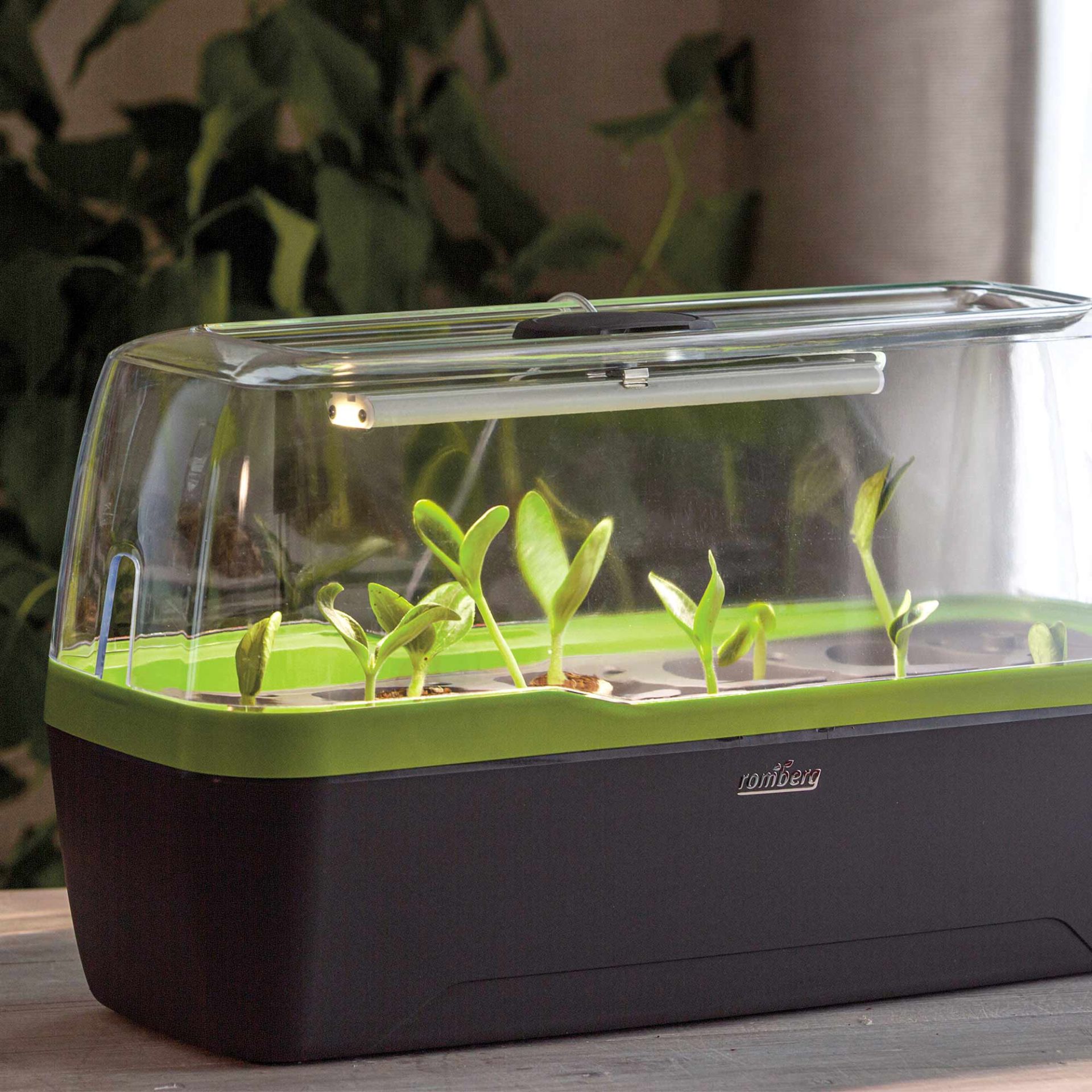 Romberg Gewächshaus BOQUBE 41x17x23 cm LED
