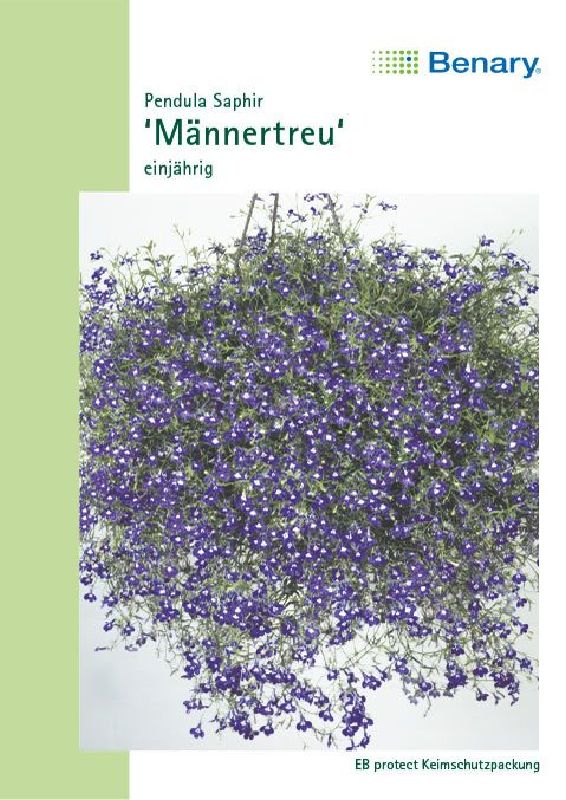Lobelia pend.Saphir / Crystal Palace - Produktbild 1