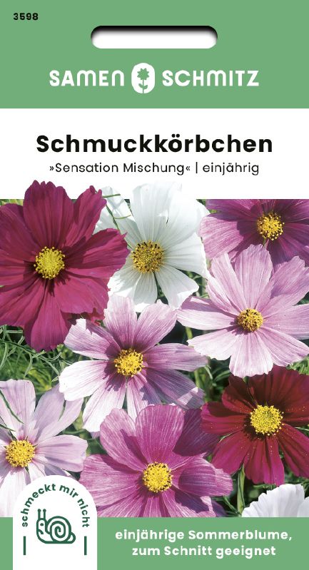 Cosmos bipinnatus Sensation Mischg.