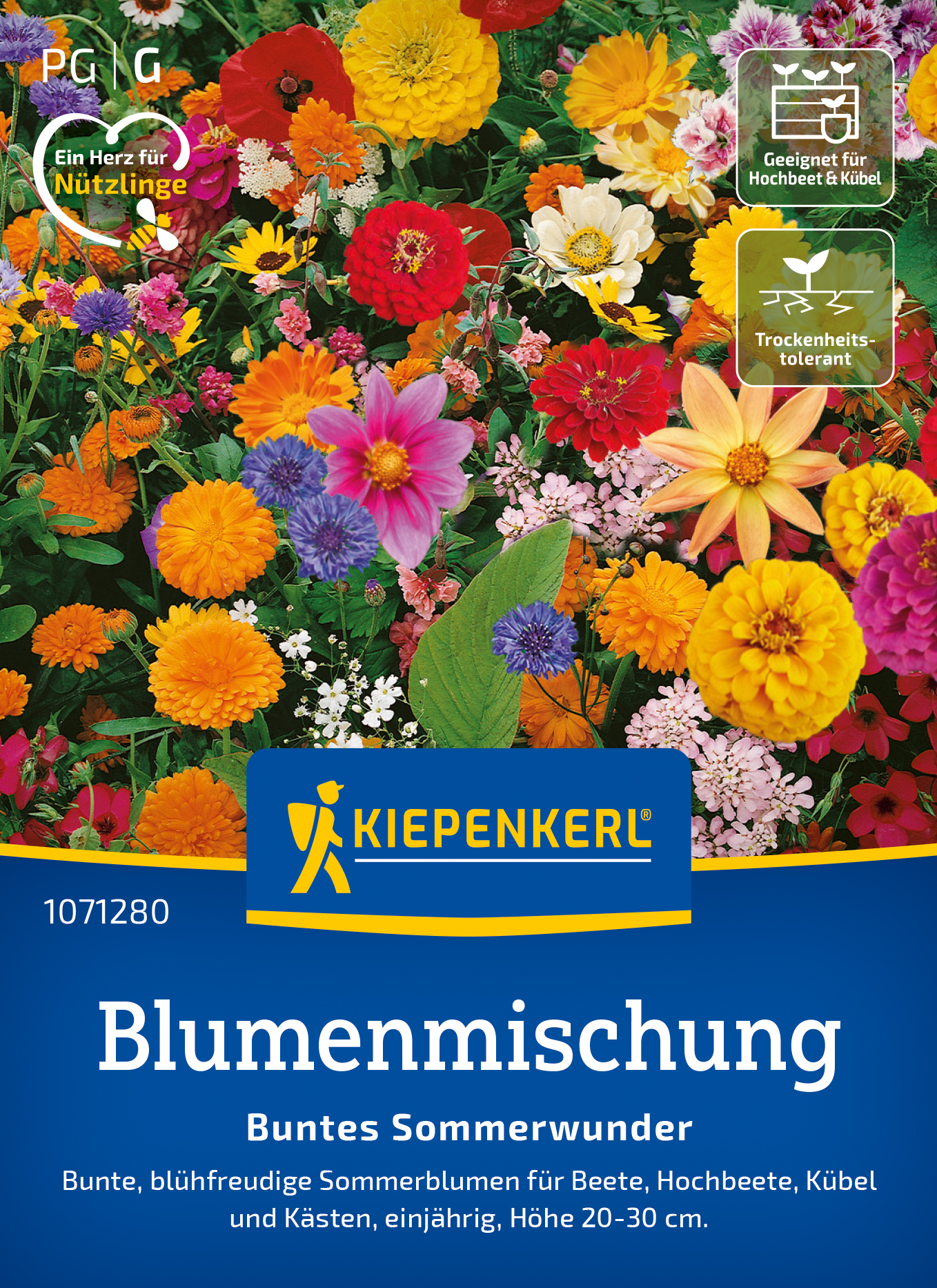 Blumenmischung Buntes Sommerwunder