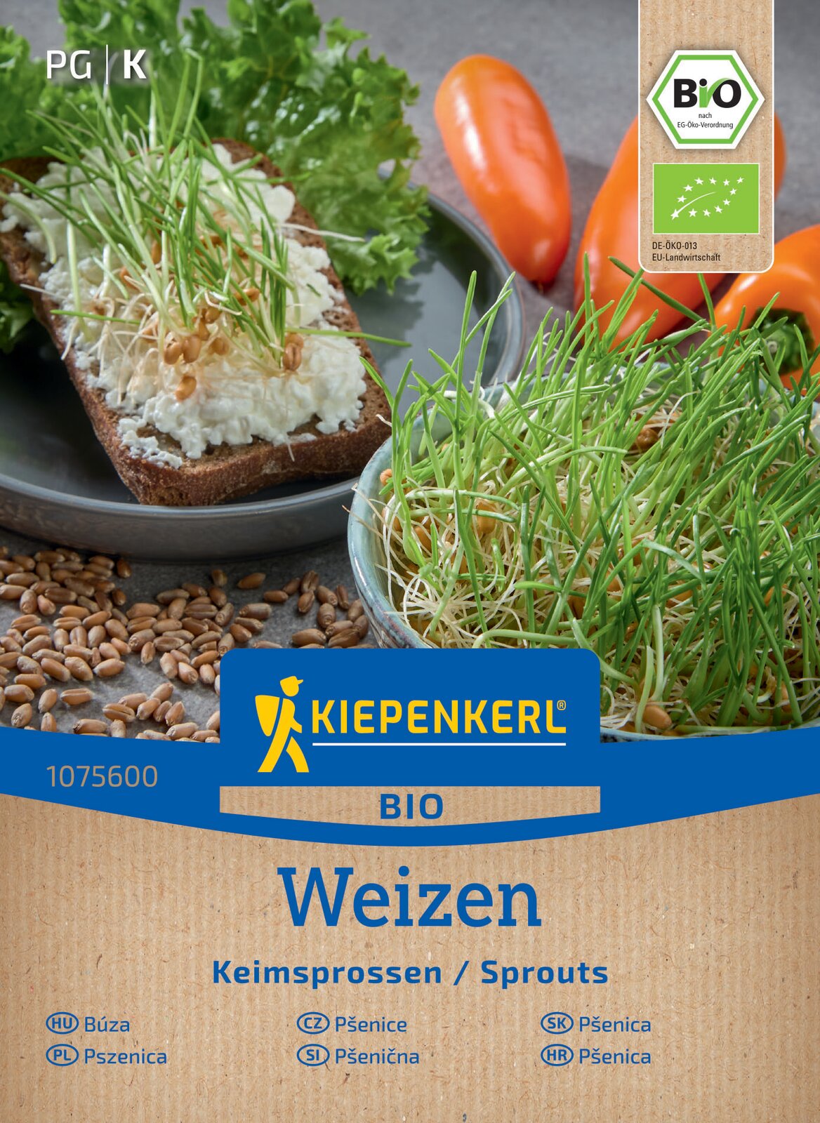 Keimsprossen Weizen