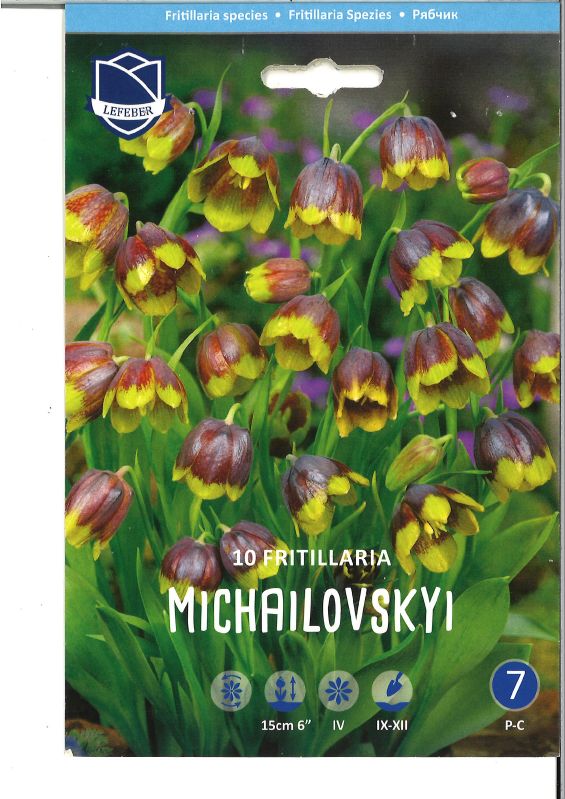 Fritillaria michailovsky
