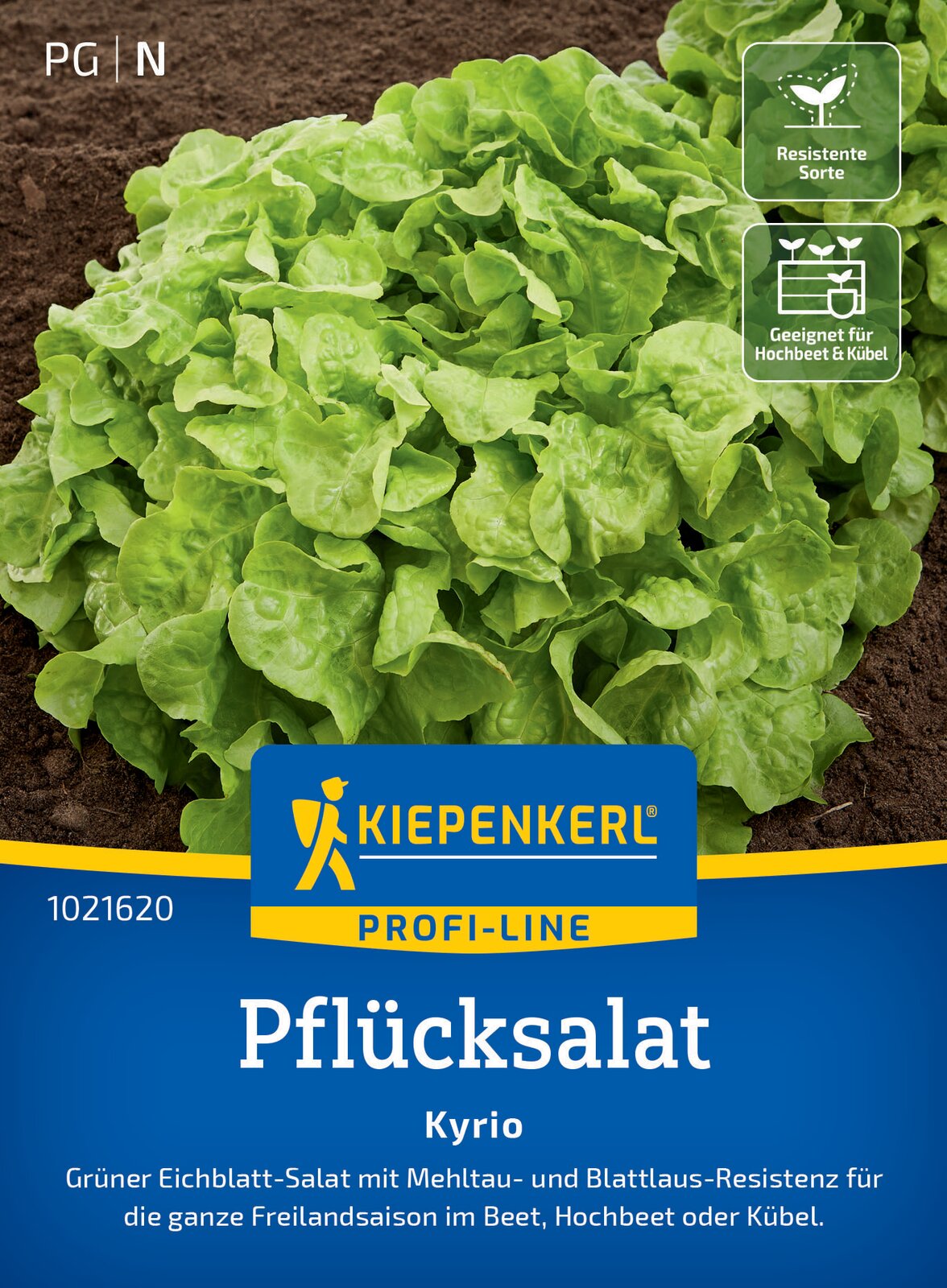 Salat Eichblatt Kyrio